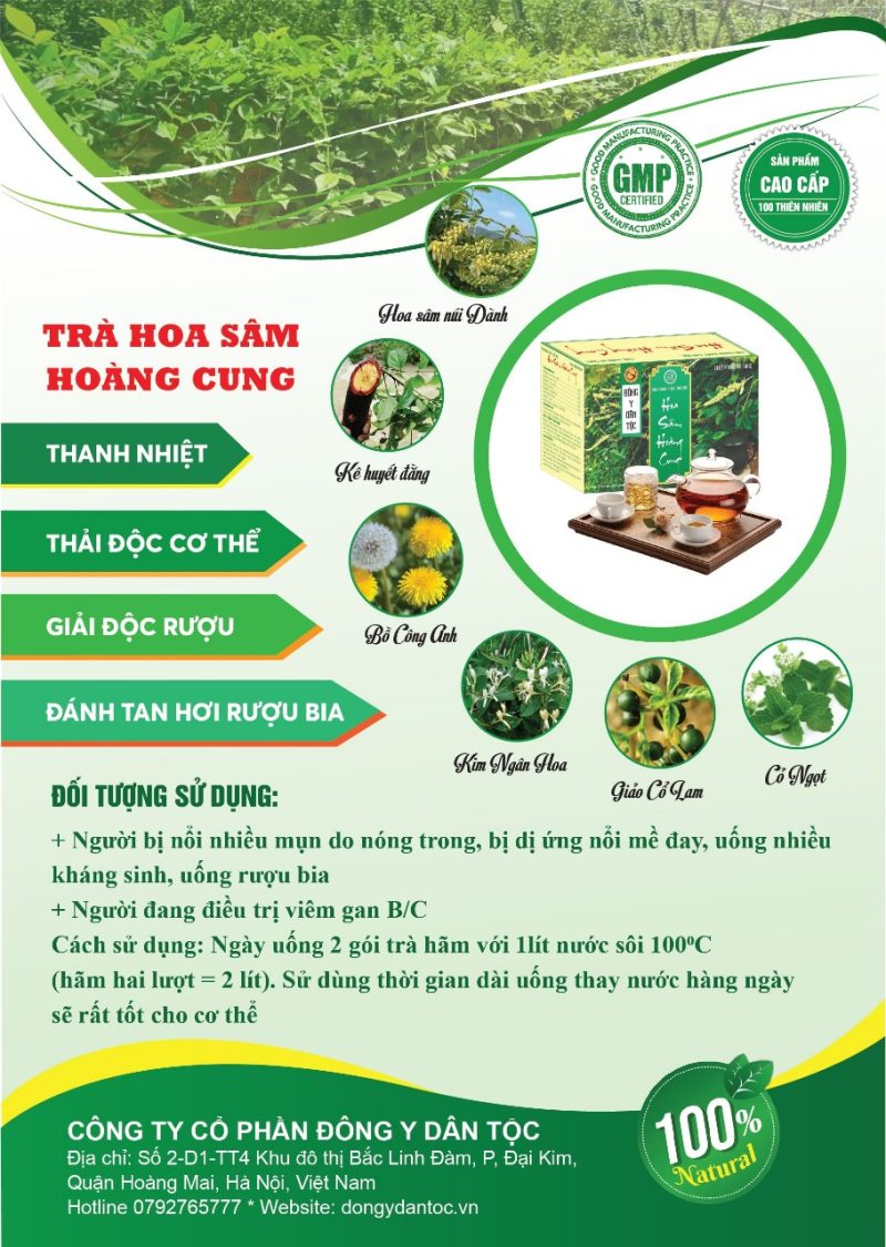 TRÀ THẢO DƯỢC THẢI ĐỘC HOA SÂM HOÀNG CUNG