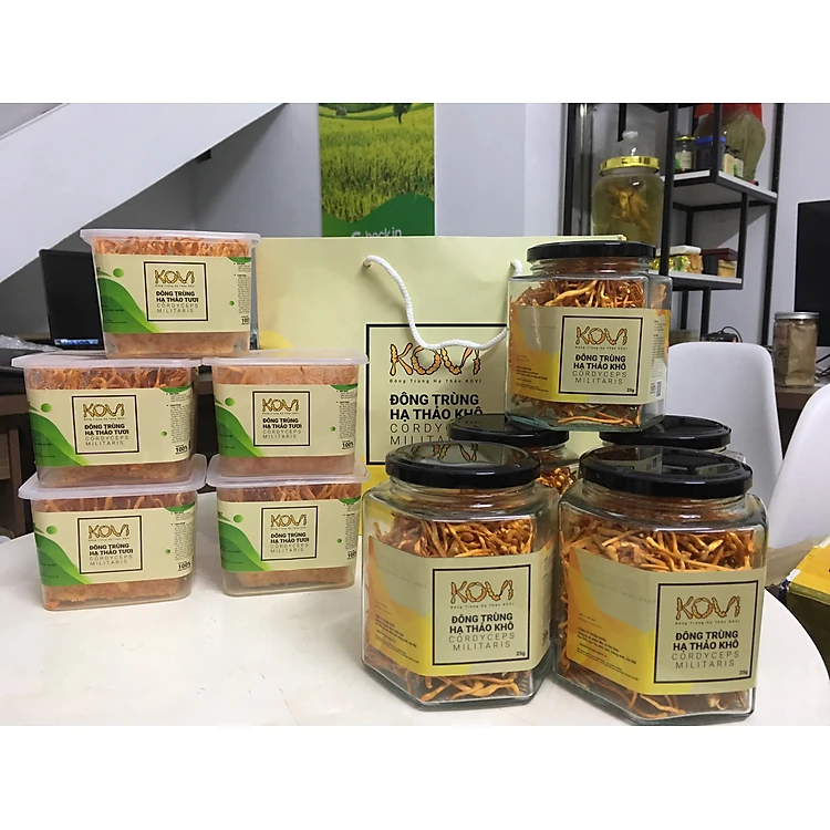 Đông trùng hạ thảo khô 25gr ( 2 lọ 25g) Đông trùng hạ thảo khô 25gr ( 2 lọ 25g)