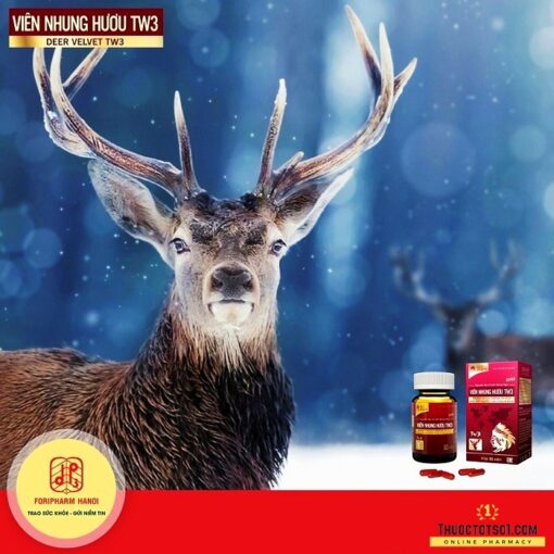 Viên nhung hươu TW3 – Bổ Huyết, Mạnh Gân Cốt, Bồi Bổ Cơ Thể